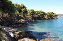 Private Half Day Speedboat tour to Zadar's Nearby Islands