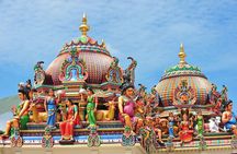 Private Tour: Half-Day Chennai Sightseeing with Government Museum and Kapaleeshwar Temple