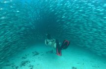 Mayan Adventure from Playa del Carmen