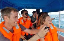 (4 person minimum to book) Whale Watching (July 15 to Oct.15) in Isla Bolanos