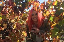 Swan Valley Winery Experience - Full Day Coach Tour