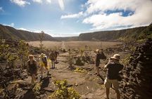 Private VAN Tour Hilo