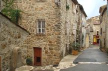 Countryside and Wine Tasting Full-day tour from Nice 