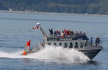 Victoria Whale Watching Cruise with Expert Naturalists