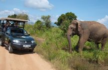 Glamping Safari Bordering Udawalawe National Park 