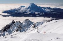 Premium Mt Ruapehu Summit Plateau Guided Group Hike
