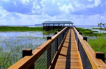 Wild Florida Adventure Package Tour