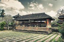 Ubud Highlight Tour