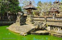 Ubud Highlight Tour