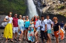 Full-day Private Cultural Tour of Ubud in Bali