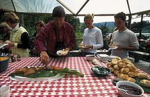 Ketchikan Rainforest Canoe and Nature Walk