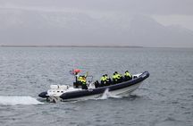 2-Hour RIB Boat Whale Watching Tour from Reykjavik