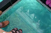 Bermuda Triangle Twilight Cruise