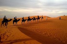 Best of Moroccan Sahara: 5-Day Guided Tour from Marrakech