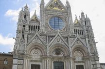 Skip the Line: Siena Duomo and City Walking Tour