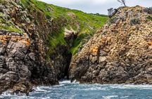 Hobart Sightseeing Cruise including Iron Pot Lighthouse
