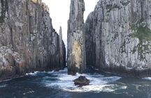 Tasman Island Cruises and Port Arthur Historic Site Day Tour from Hobart