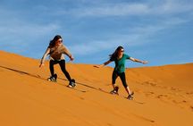 Dubai Desert Safari, Quad Bike, Camel Ride & Camp Activities