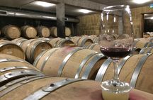 Cotes du Rhone Wine Tour (9:00 am to 5:15 pm) - Small Group Tour from Lyon