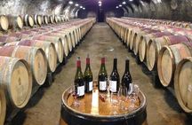 Beaujolais Crus Wines & Castles (2:00 pm - 6:30 pm) - Small Group Tour from Lyon