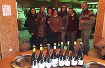 The Original Syrah Wine Tour (9:00 am - 1:30 pm) - Small Group Tours from Lyon
