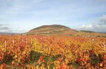 Beaujolais Crus Wines & Castles (9:00 am - 1:30 pm) - Small Group Tour from Lyon