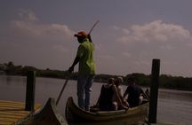 Explore La Boquilla’s Mangrove Tunnels with Local Fishermen