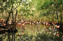 National Aviary private from Cartagena