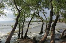 One day tour to eastern coast region of Daichi Lake