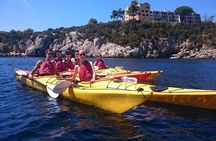 Half Day Sea Kayak Trip