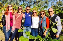 Swan Valley Tour from Perth: Wine, Beer and Chocolate Tastings