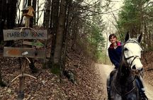 Horseback Riding In Bled