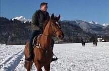 Horseback Riding In Bled