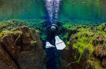 Dive the Divide: Silfra Fissure Scuba Tour | Reykjavik Pickup