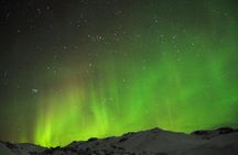 Northern Lights Minibus Tour with Hot Cocoa, Blankets & Photos