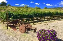 Chianti Wine and Vinci half day Small Group Tour from Lucca