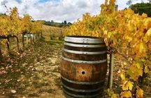 Chianti Wine and Vinci half day Small Group Tour from Lucca
