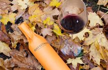 Stellenbosch Winelands Connoisseur Day Tour with Private Transfer
