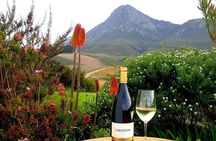 Hemel en Aarde Whale Coast + Wine Day Tour with Private Transfer