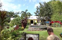 Best of St. Kitts Highlight Tour and Beach