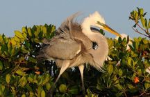 Everglades National Park Small Group Guided Boating & Walking Tour Expedition