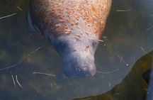 Everglades National Park Small Group Guided Boating & Walking Tour Expedition