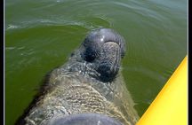 Small Group Boat, Kayak and Walking Guided Eco Tour in Everglades National Park
