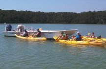 Small Group Boat, Kayak and Walking Guided Eco Tour in Everglades National Park