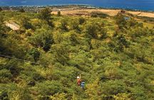 Maui 8 line Zipline Adventure: Soar above valleys & Island views