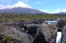 Private Tour: Puerto Montt, Puerto Varas and Vicente Peres Rosales National Park