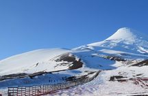 Private Tour: Puerto Montt, Puerto Varas and Vicente Peres Rosales National Park