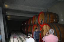Private Wine Tour in Valparaiso