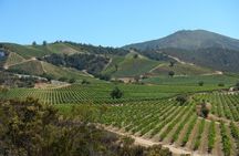 Private Wine Tour in Valparaiso
