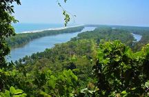 Private Limon Shore Excursion: Tortuguero Canals Tour